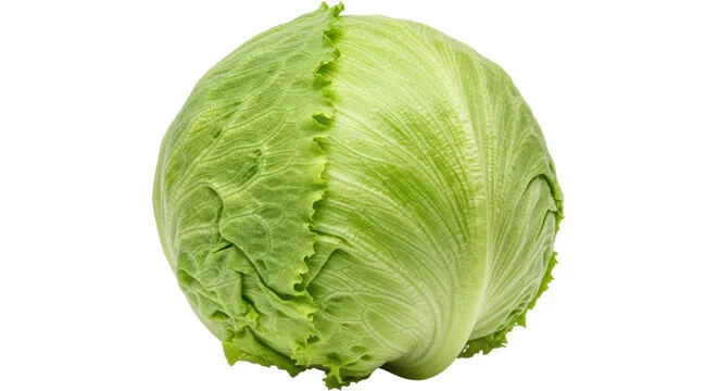 Lechuga iceberg fresca y compacta sobre fondo blanco
